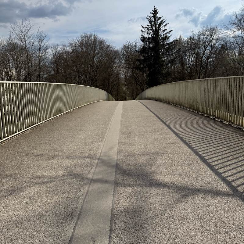 Indians in Munich logo