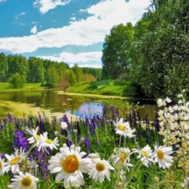 дружная ходьба logo