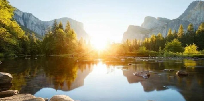 дружная ходьба banner