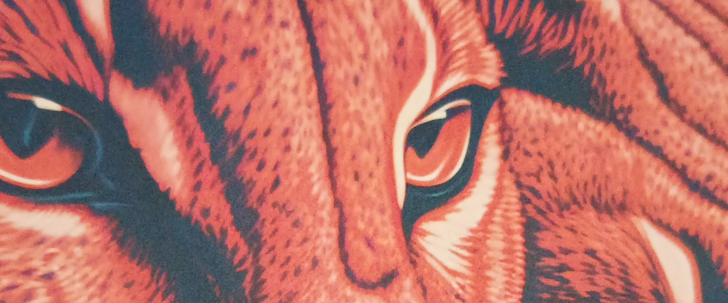 Кузбасс-Кемерово💯🇷🇺💯 banner