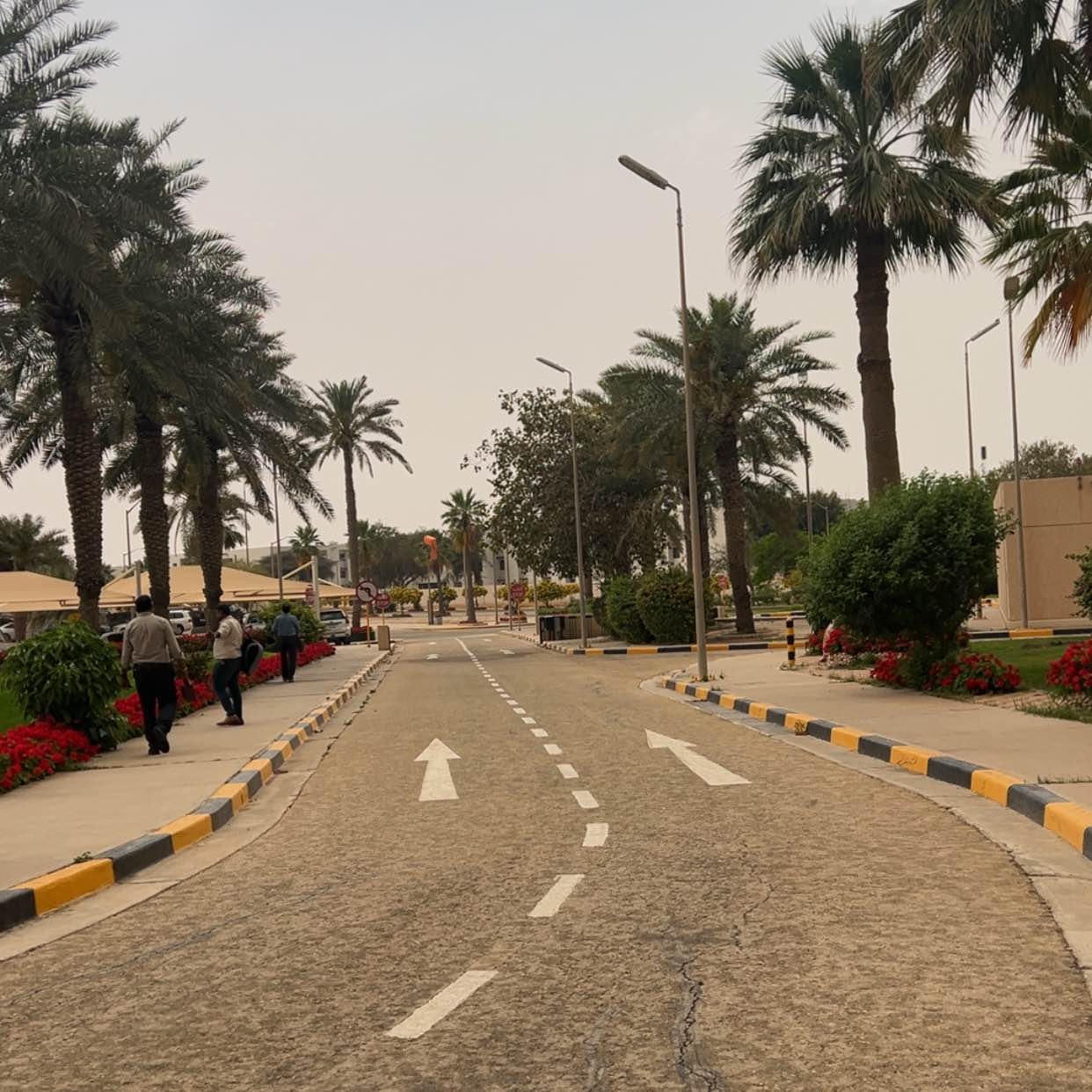 TSD Team Challenge Club logo