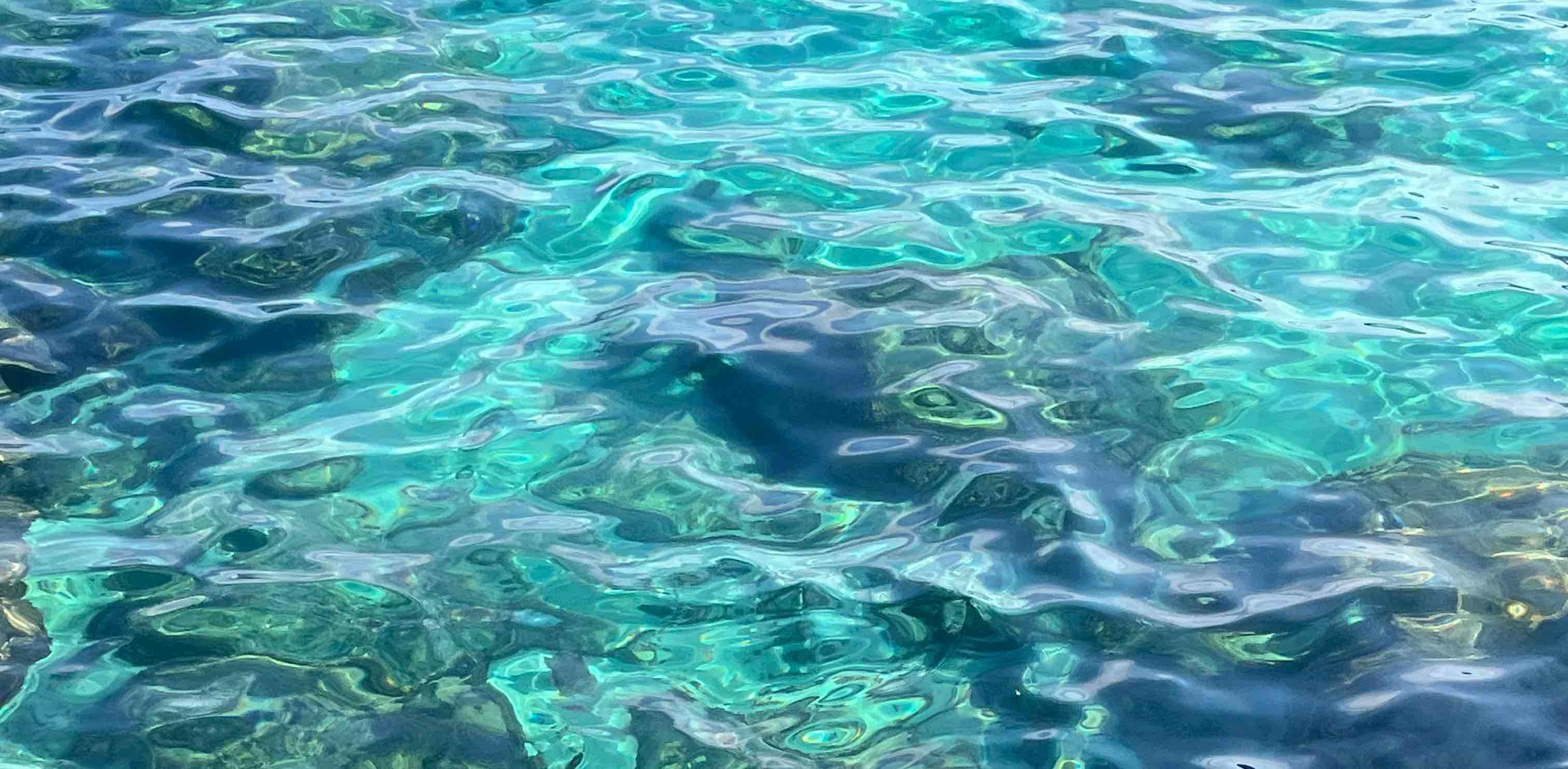 Casi Camino de Santiago 🥾 banner