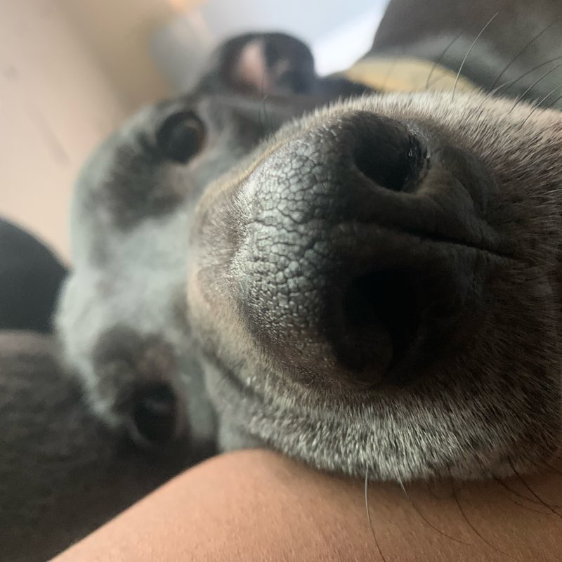 old grandma gaming logo