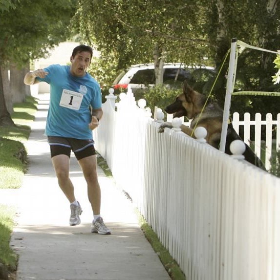 كل اللي عليكم، تقفلون خطواتكم! logo