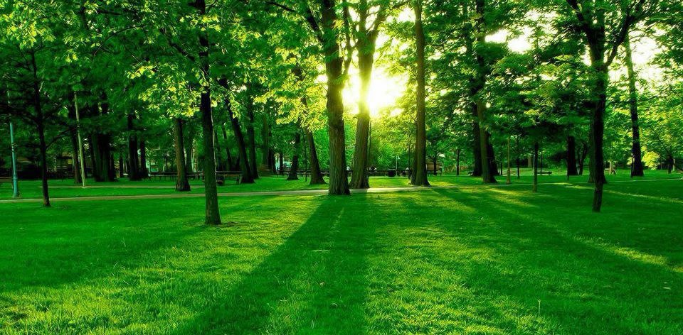 互相鼓勵跑起來💪 banner