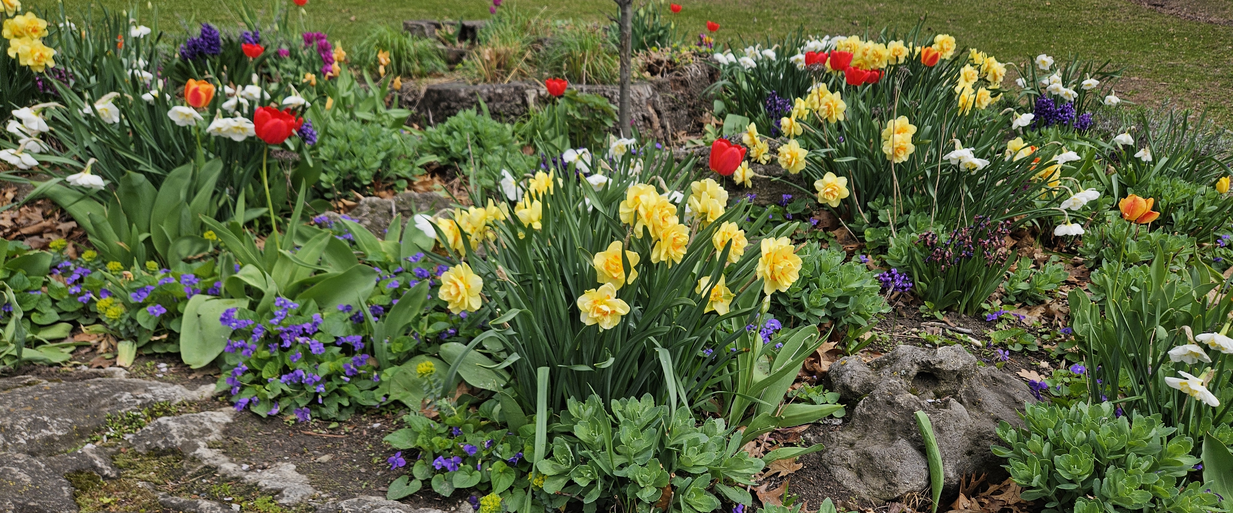 🌷SPRING WALKS🌷 banner