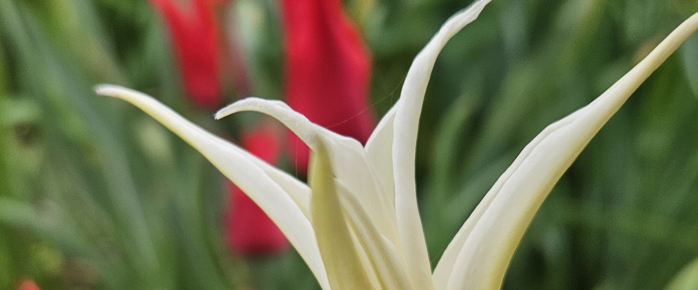 ☀️WAITING 4 SUMMER☀️ banner