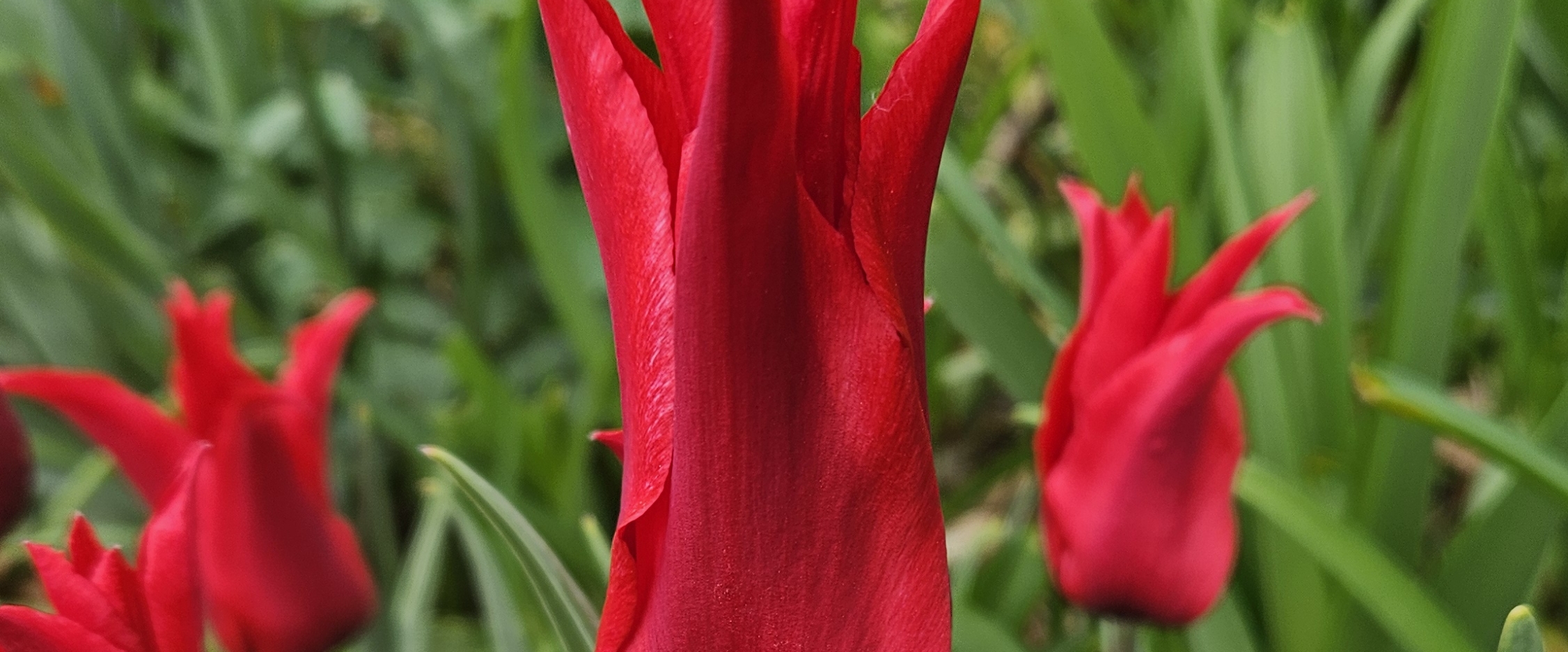 АТМА сфера banner