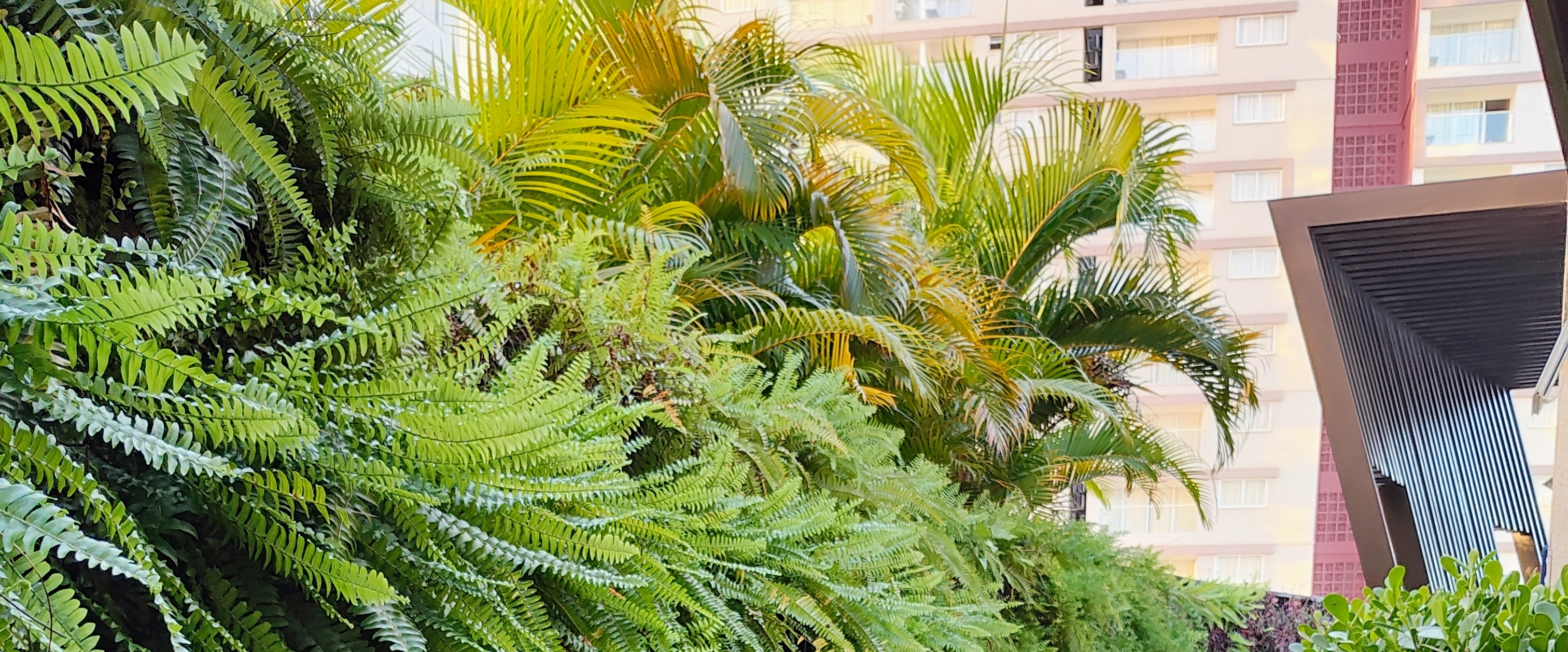 Juntos somos mais🚶♂️🚶♀️ banner