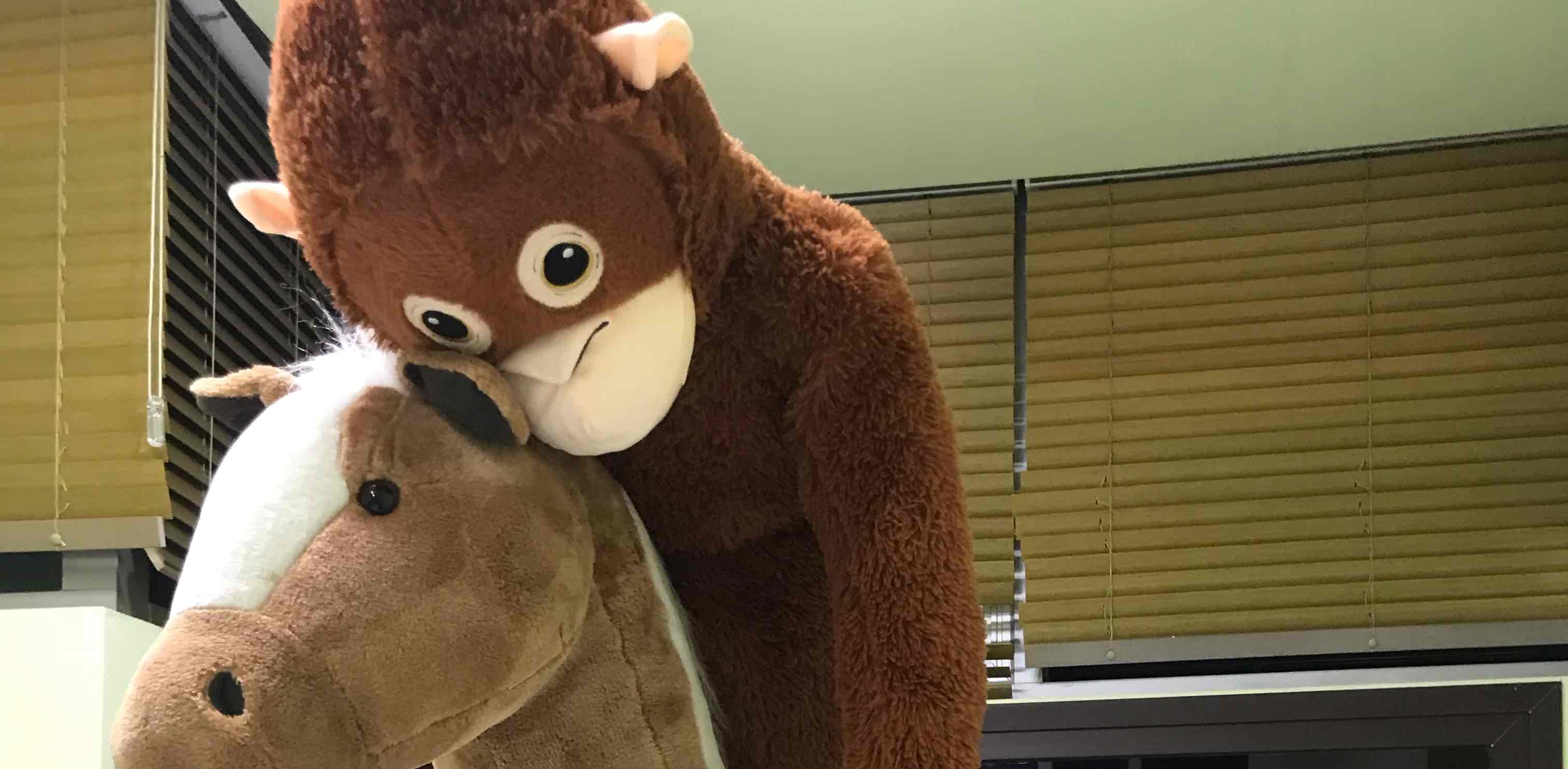 오랑우탄 만보걷기 banner