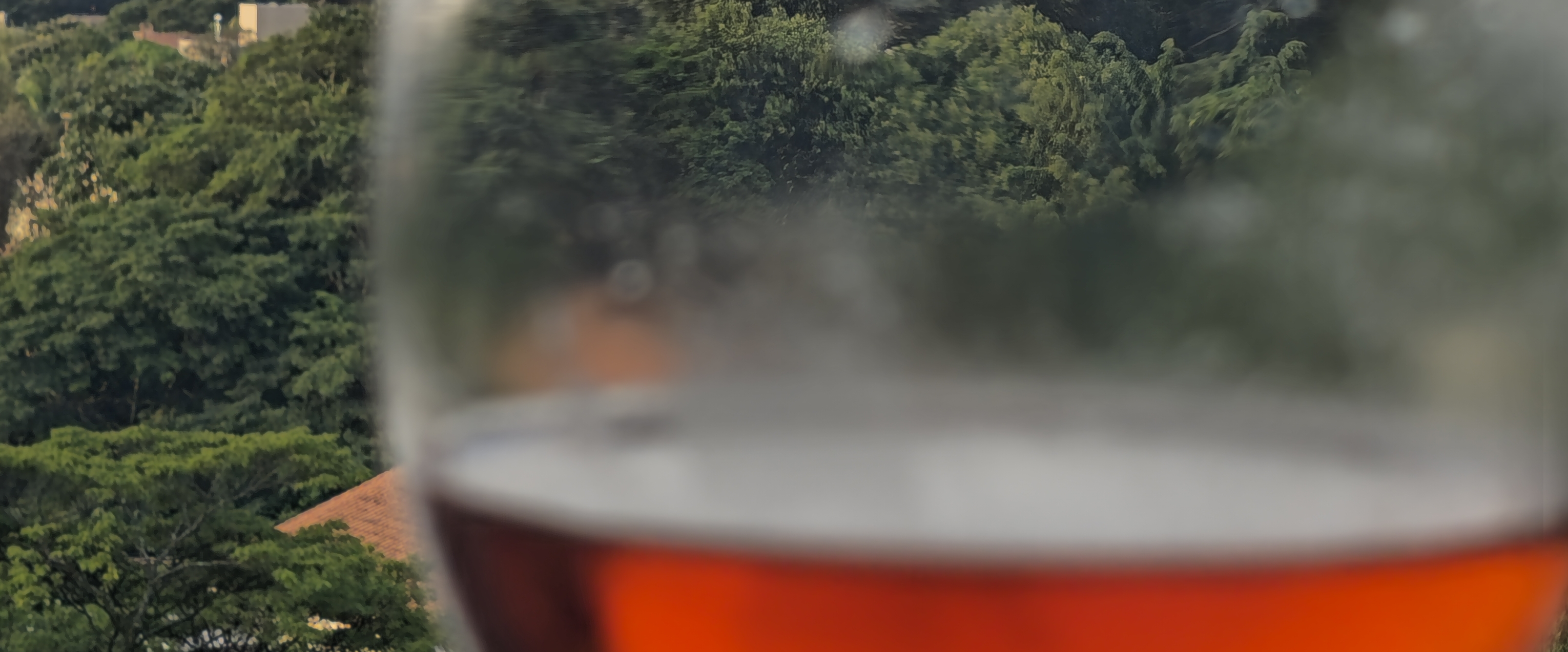 Trigueiros & Amigos banner