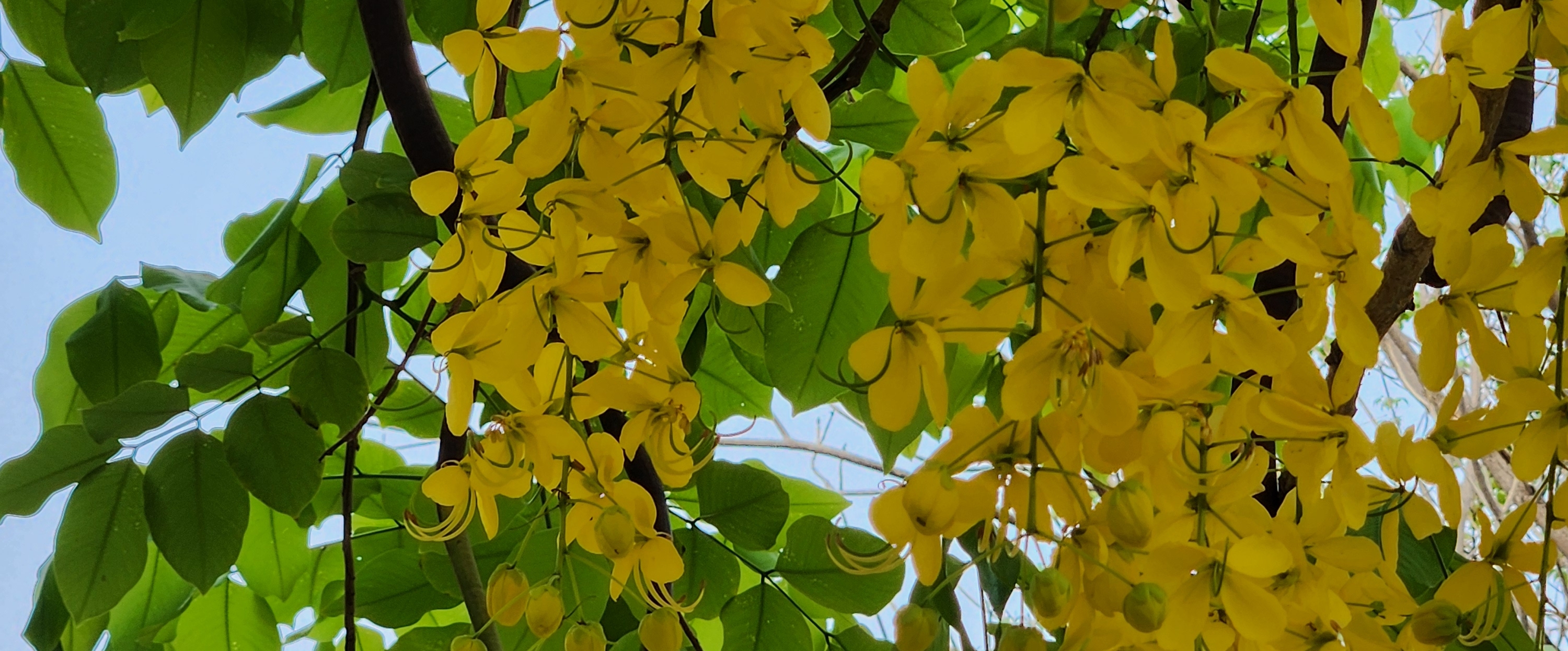 Consistency is The Key. 👍 banner