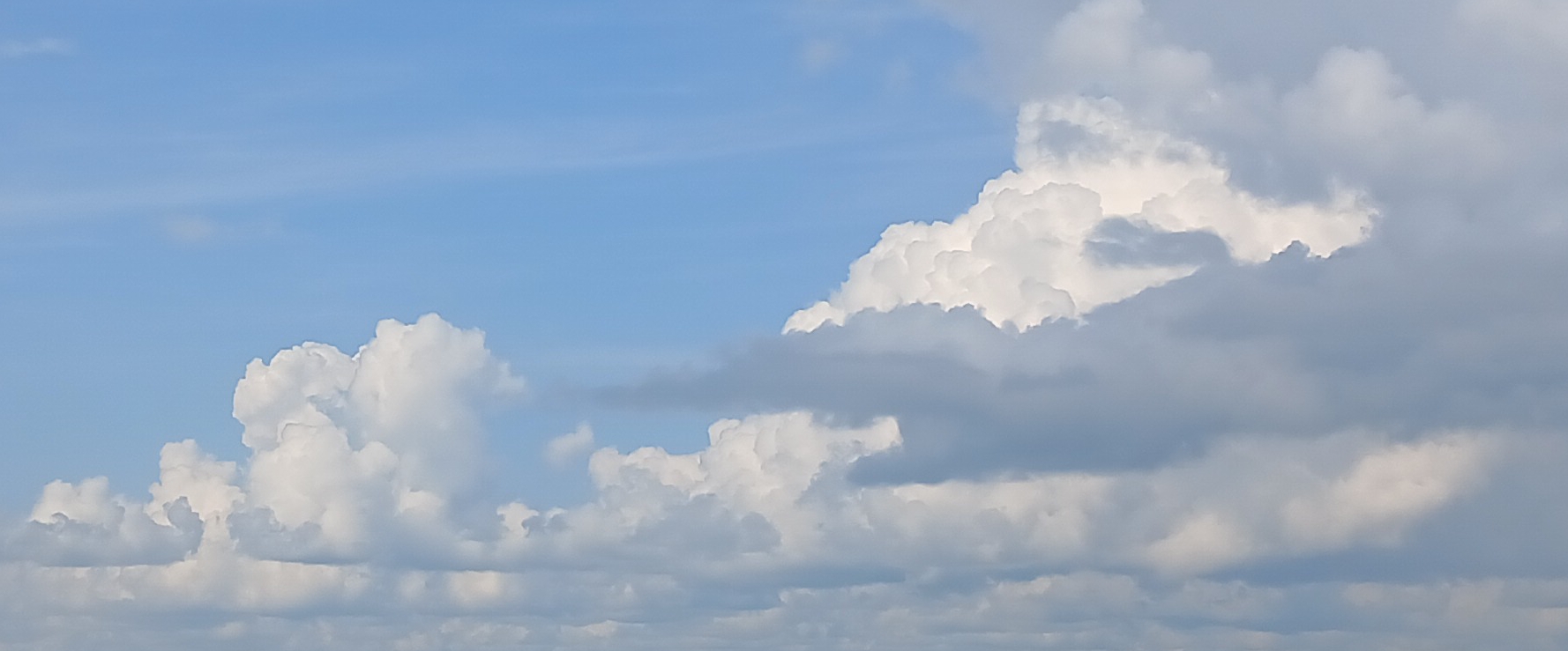 Дзен Тимофея banner