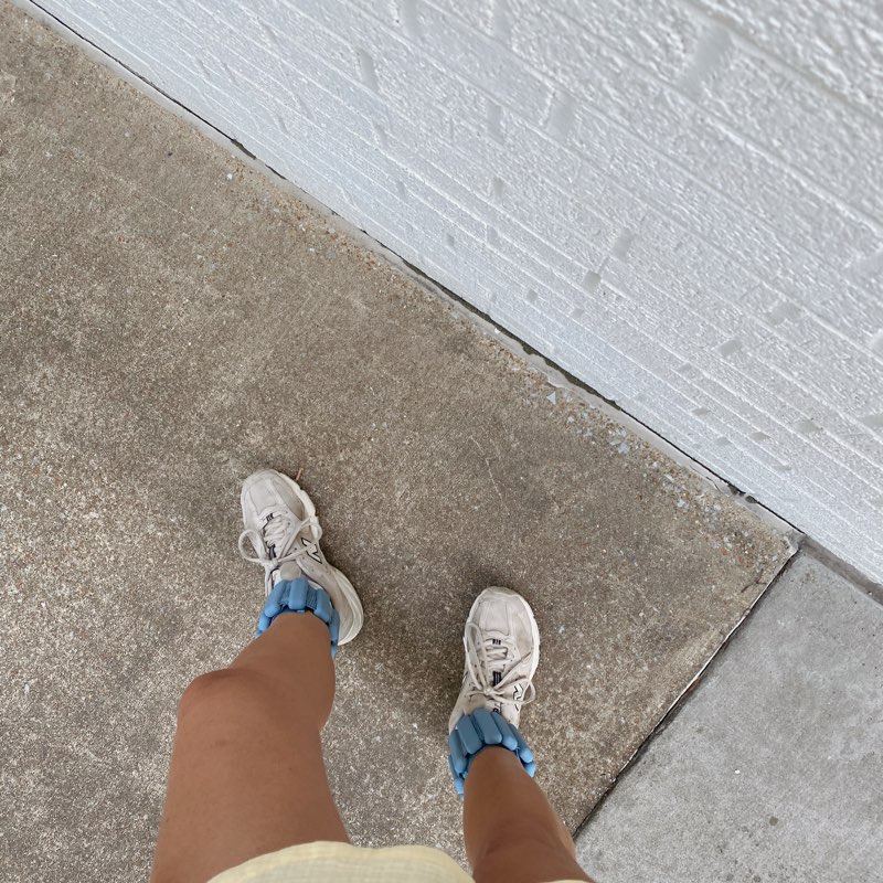 The Daily Stroll logo