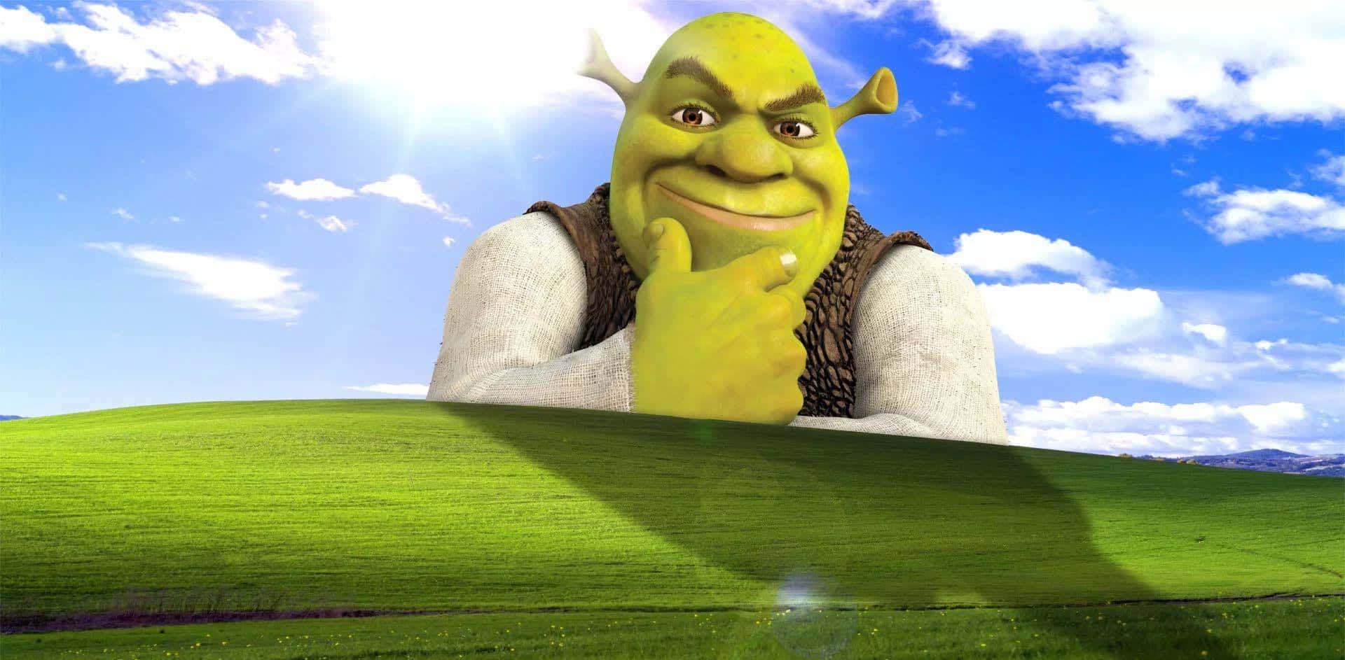 Piedini Velocini banner