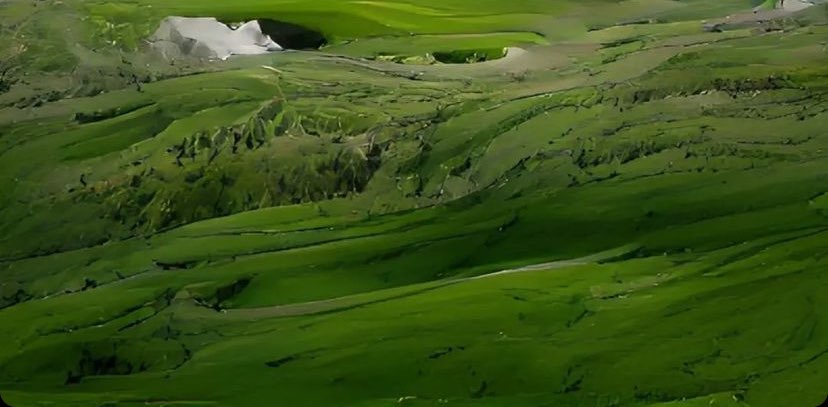 Wellbeing🌱 banner