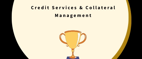 Credit Services | Onshore banner