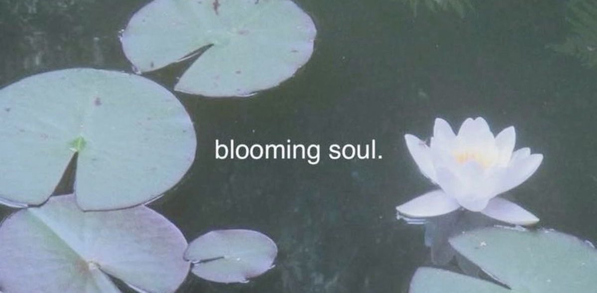 an effortless journey banner