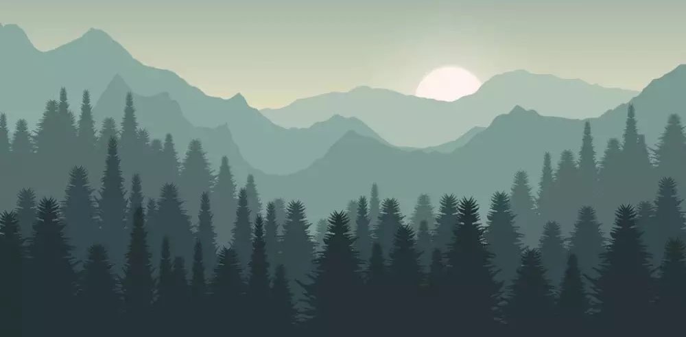 Пешеходы banner