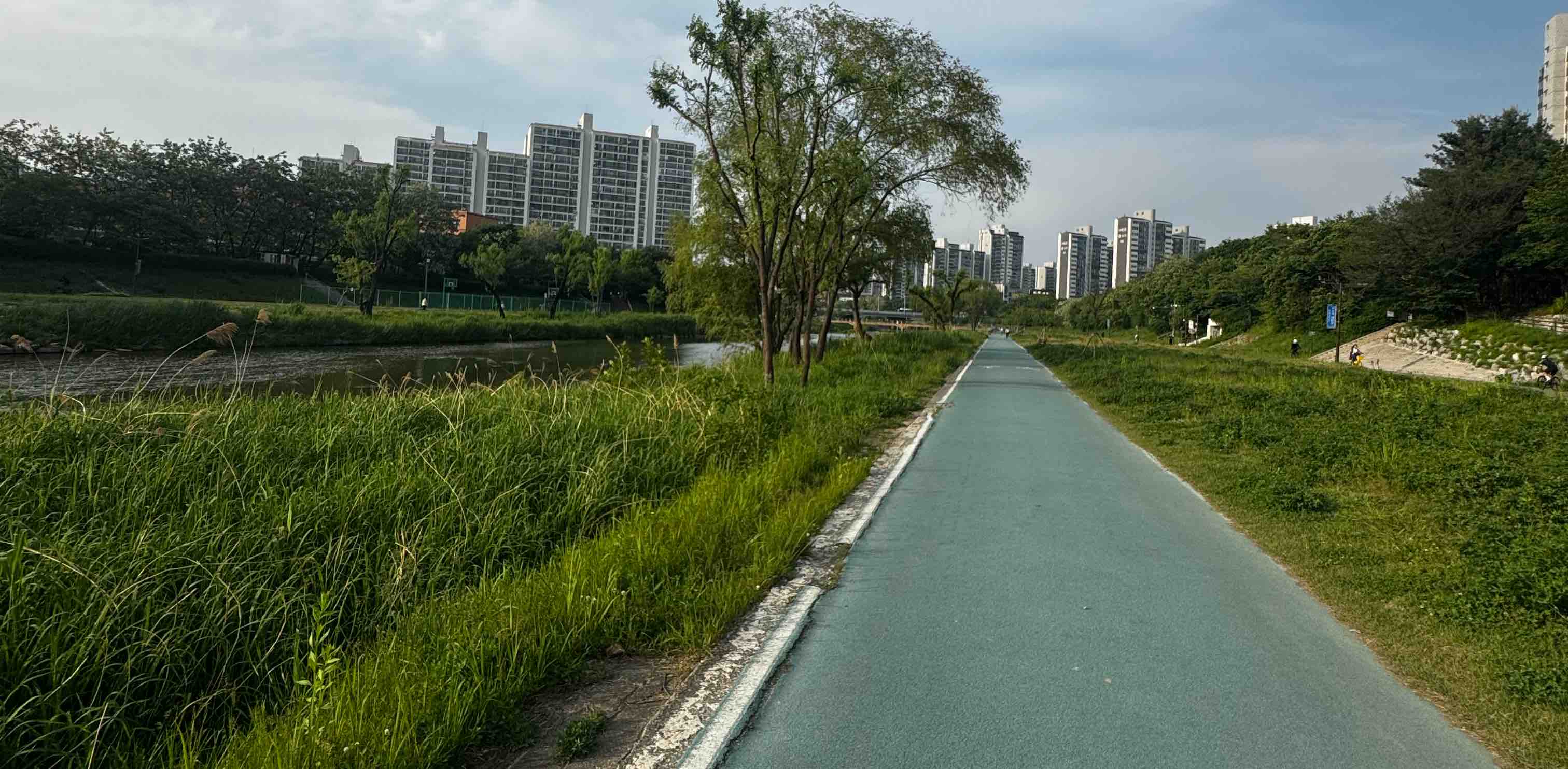 Шагающая СТАЯ banner