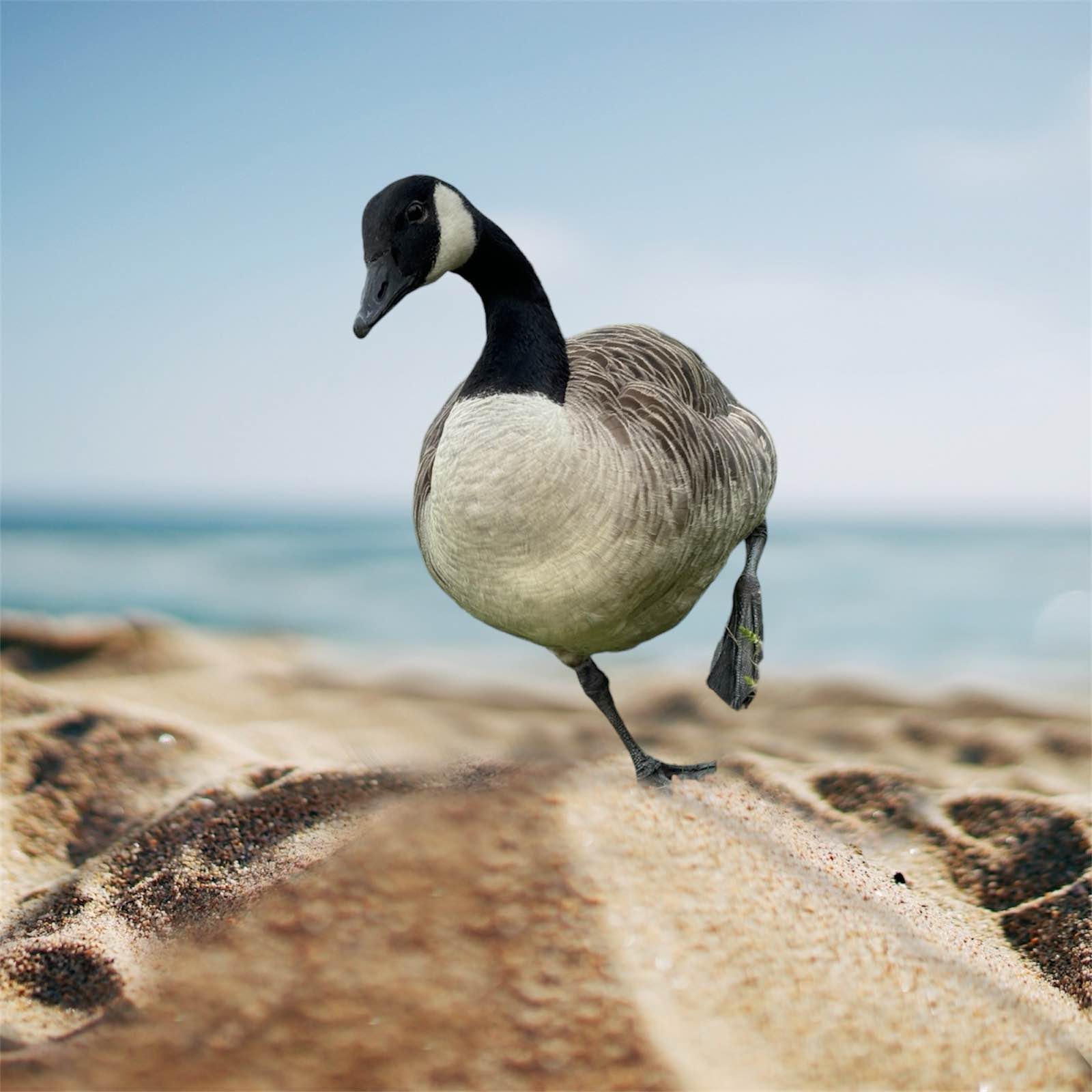 Kompisar Hultsfred logo