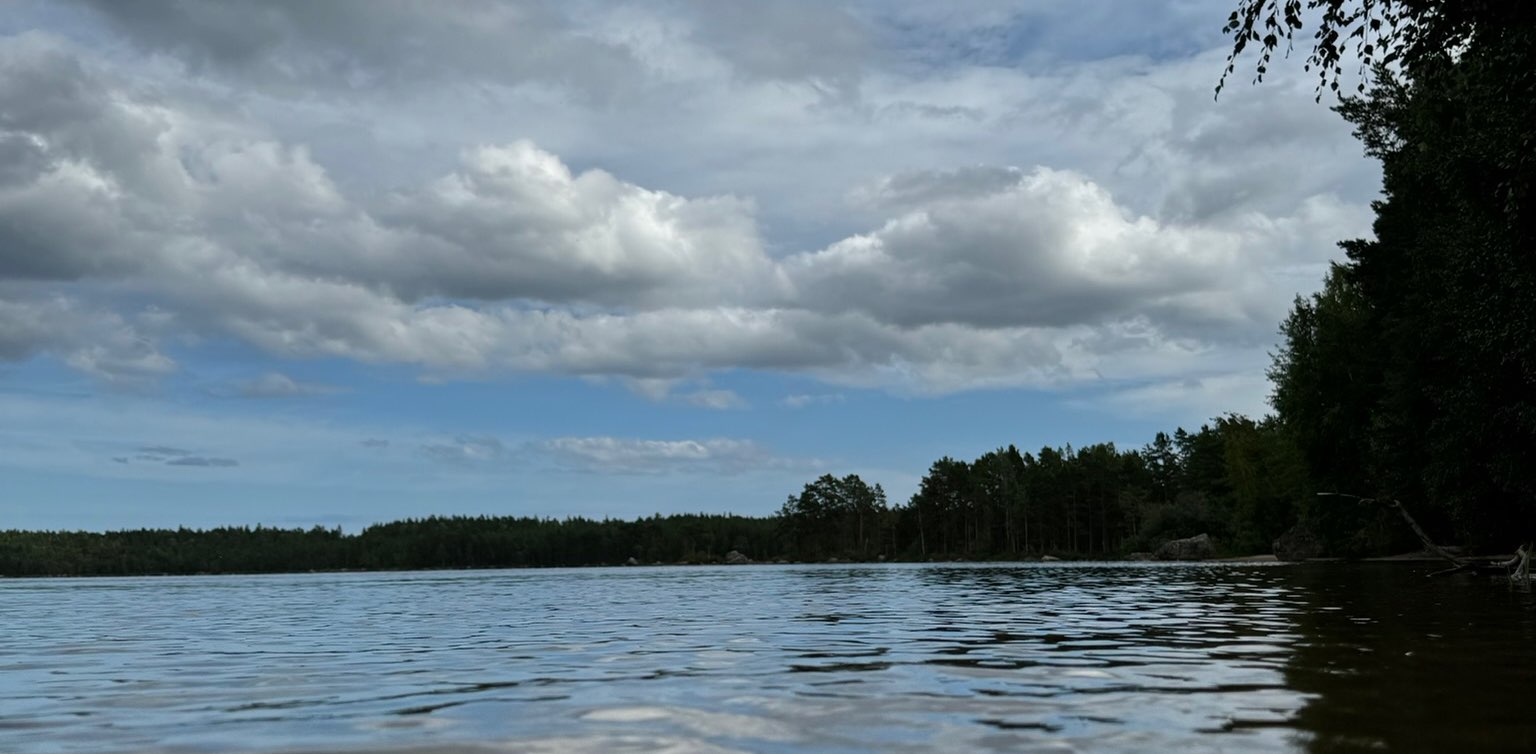 Kompisar Hultsfred banner