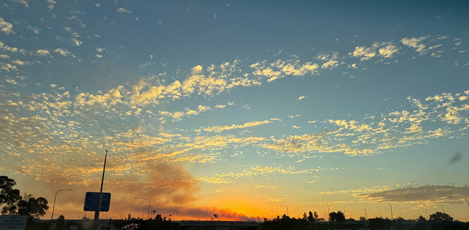 It’s a Bezar Life banner