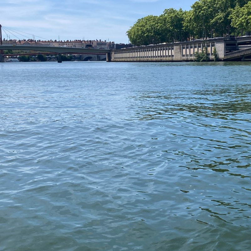 The Walking Alive club