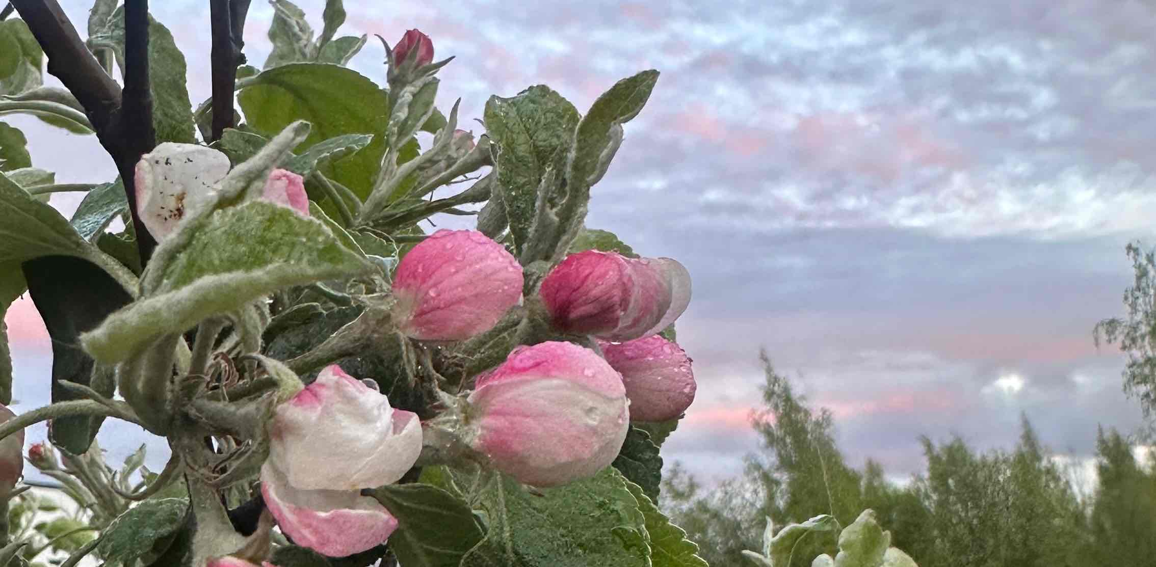 Семейка шагом марш  banner