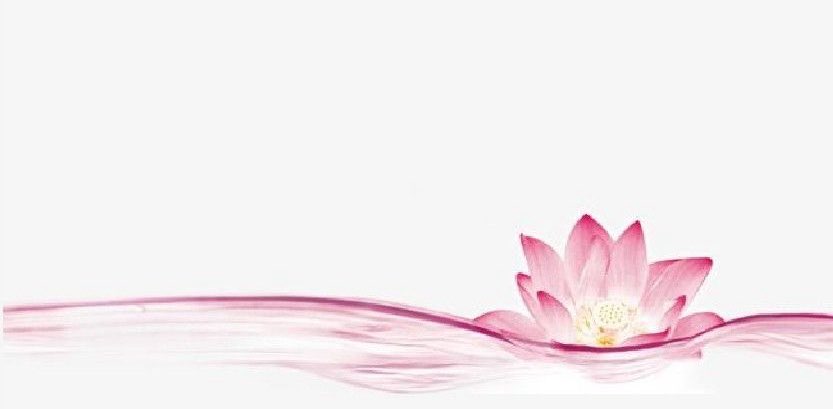 Lotus on the Move 🪷👣 banner