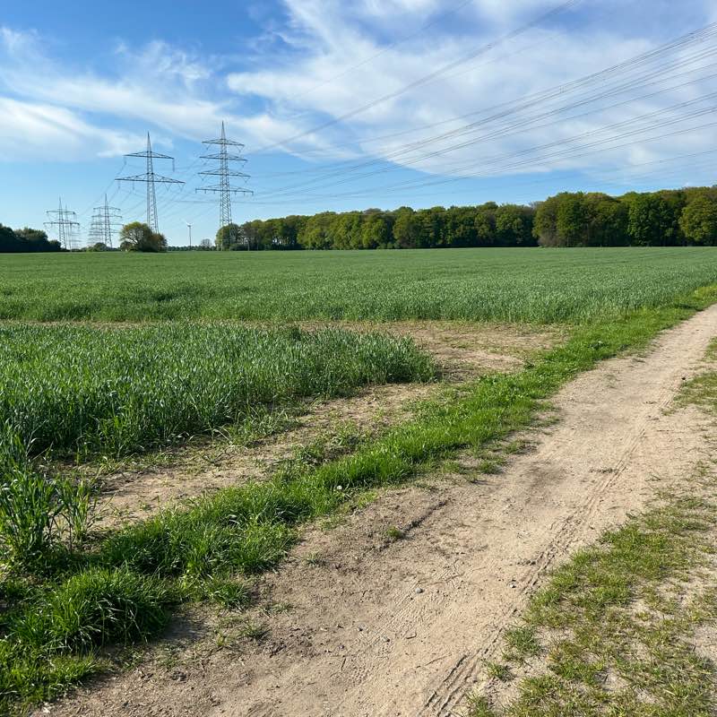 Die Fitnessschnäpfen logo