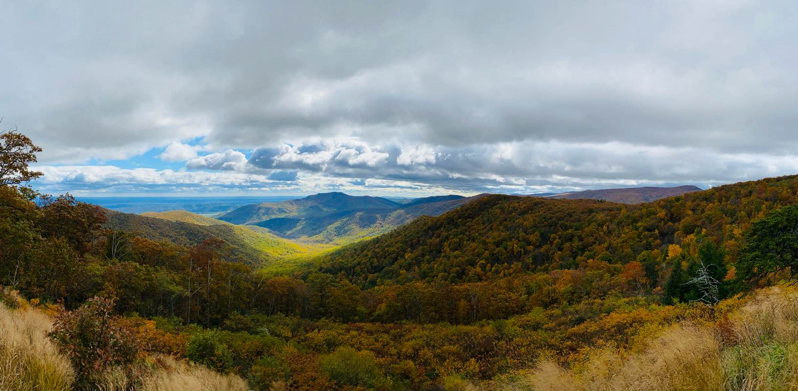 Watch Your Step! banner