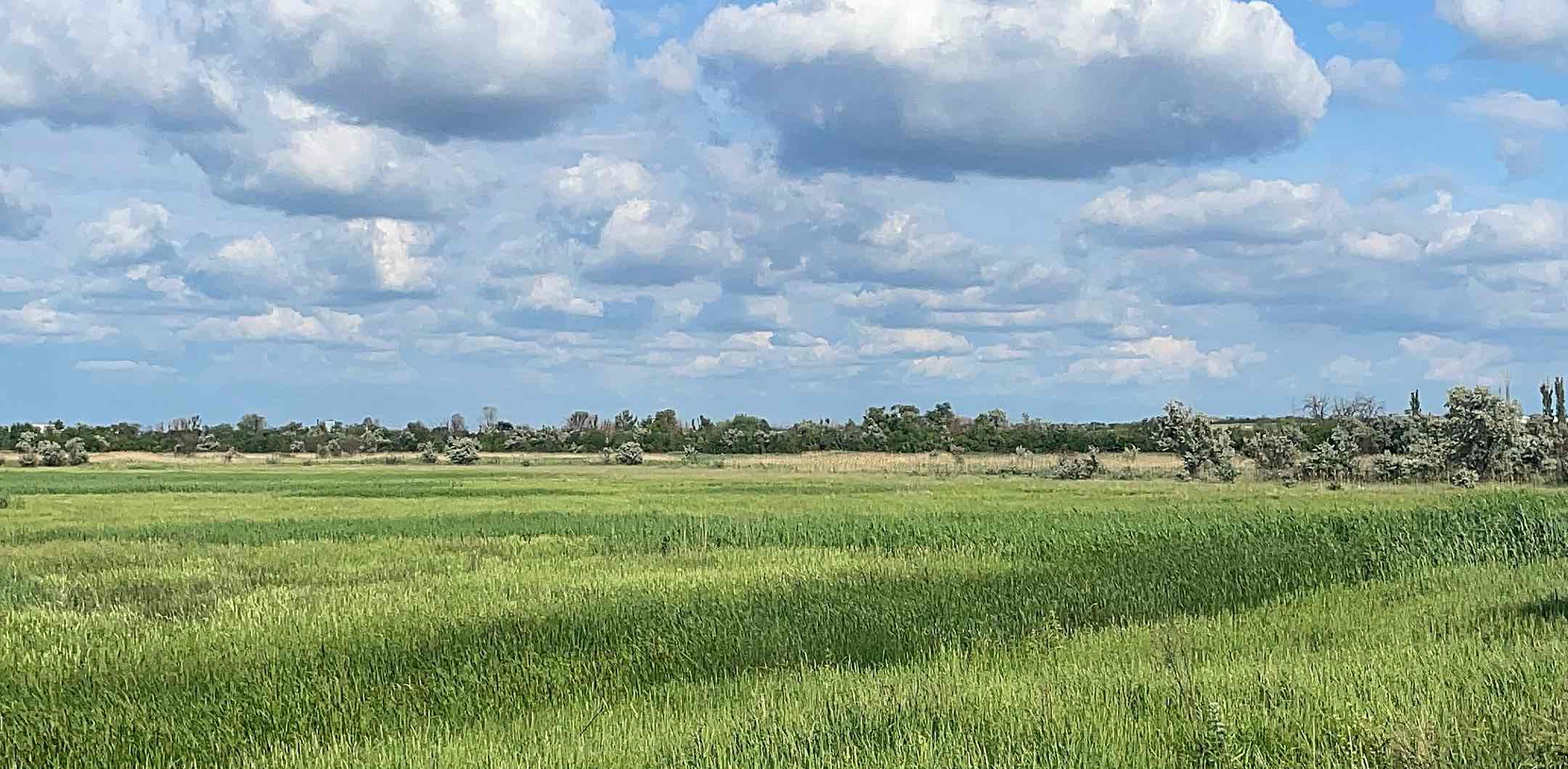 Челендж banner