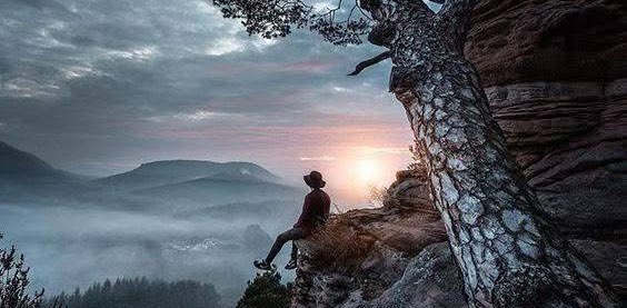 Que du Bonheur banner