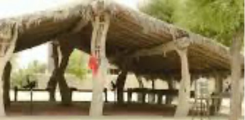 The Walking Kunchitiwalas banner