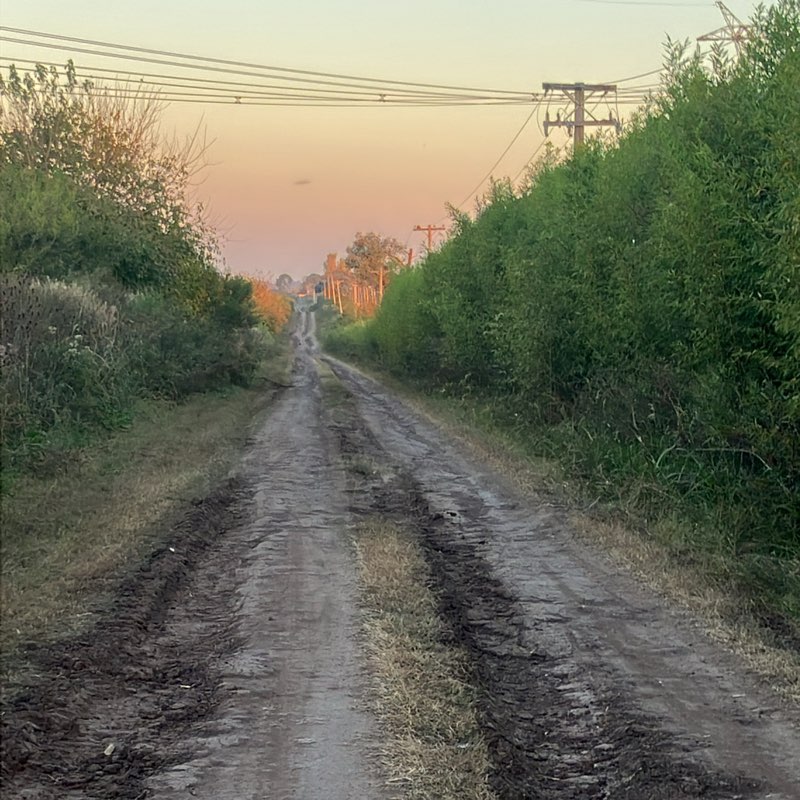Mujeres Caminando! logo