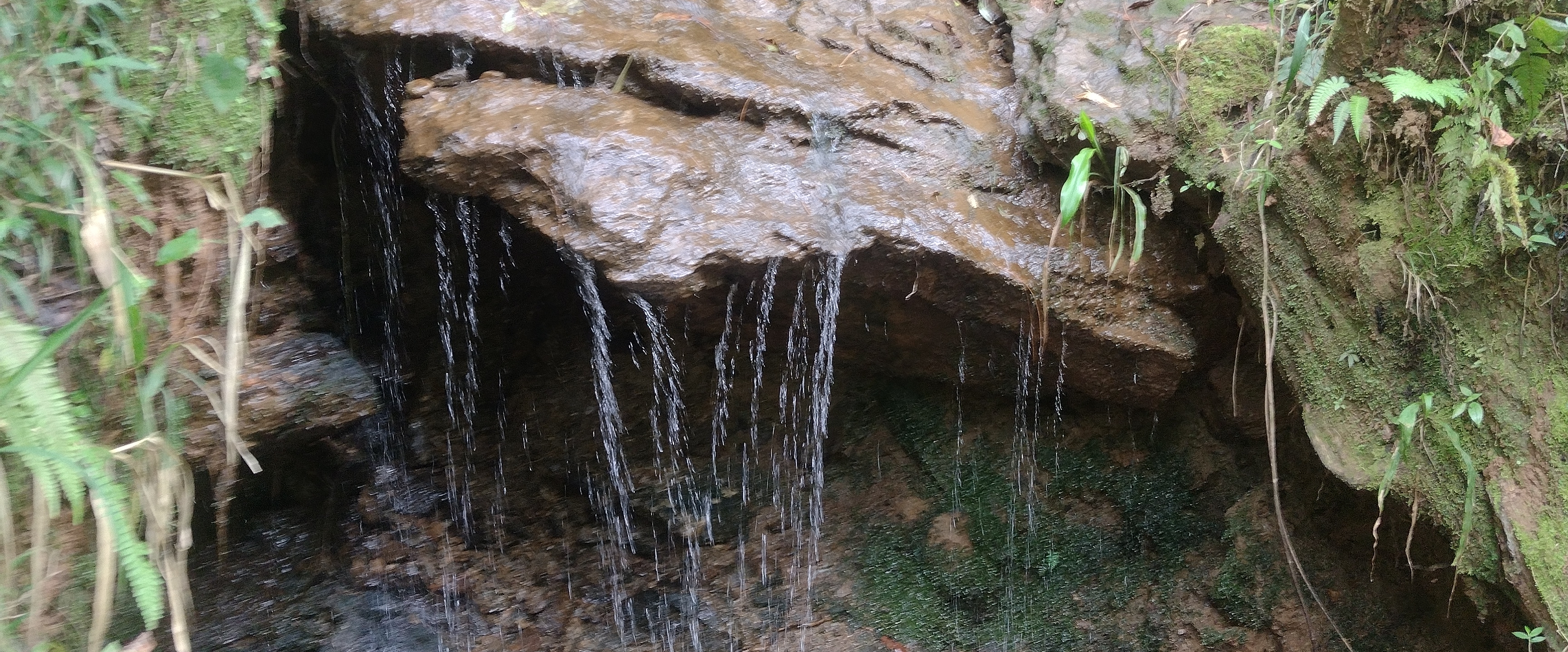 medellín 🇨🇴 banner