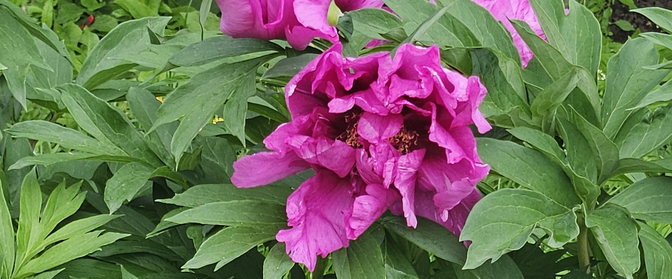 😎 30K  MEMBERS 😎 banner