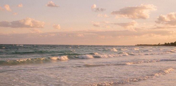 المشي الصيفي✨ banner