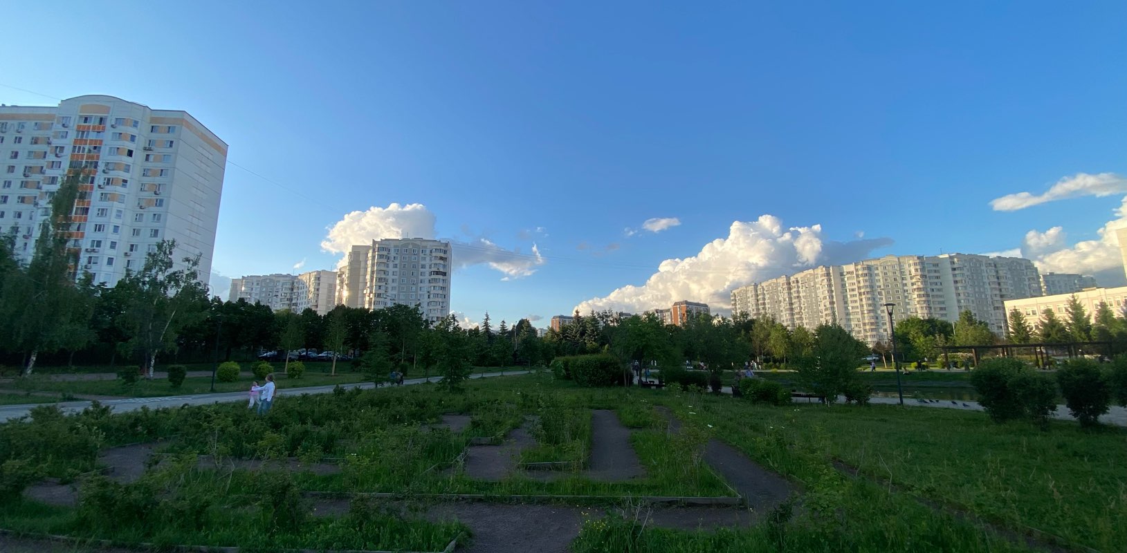 Шагающие по лету banner