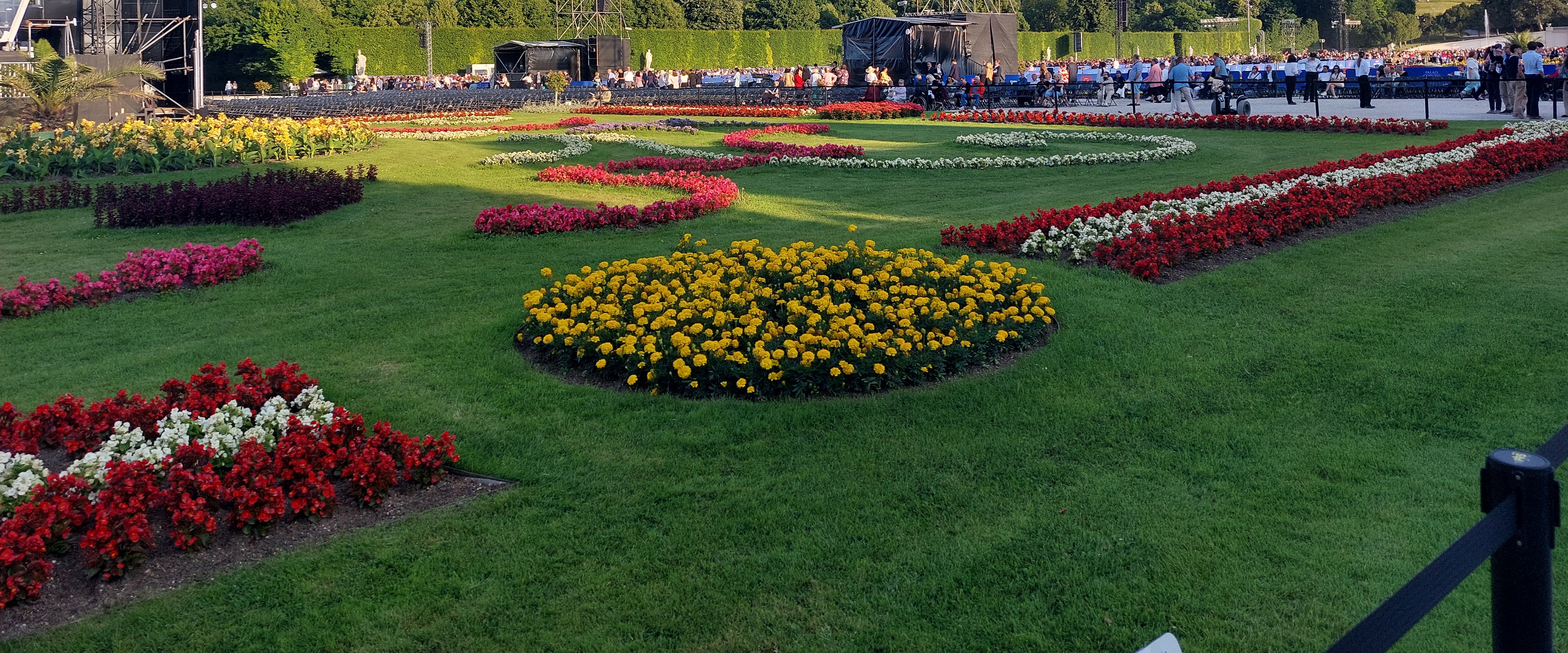 Keep up daily walking! 🚶‍♂️‍➡ banner