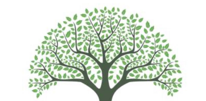 Littletree BigBranches banner