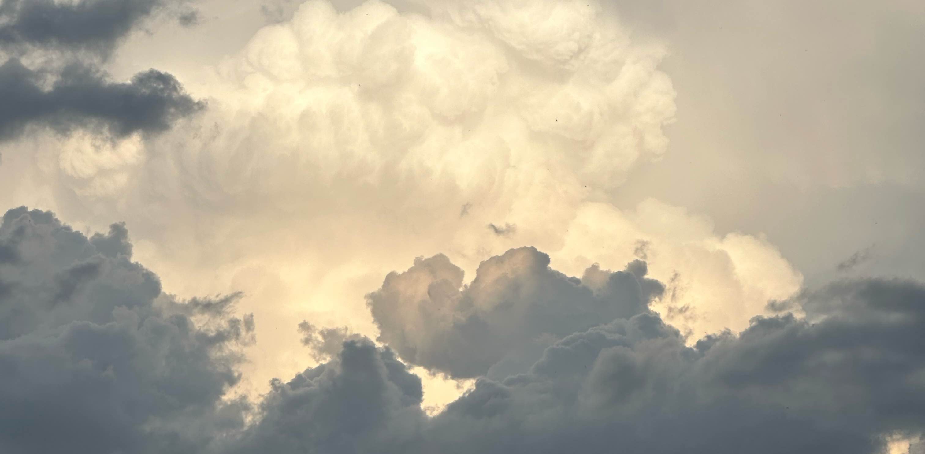 Chill Walk Club banner