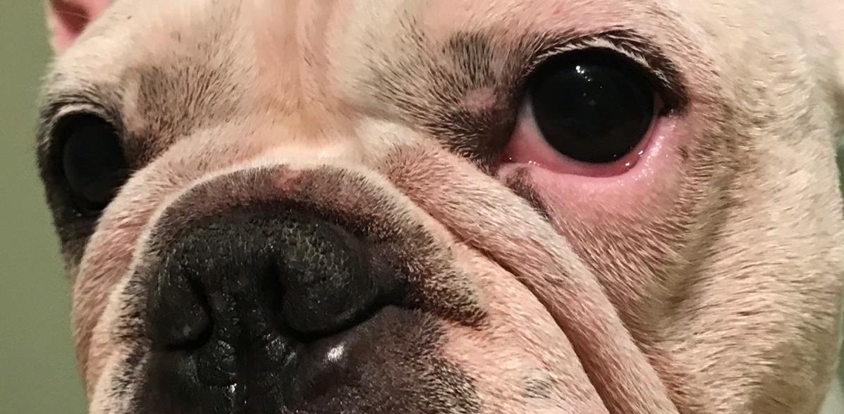 Ветеран banner