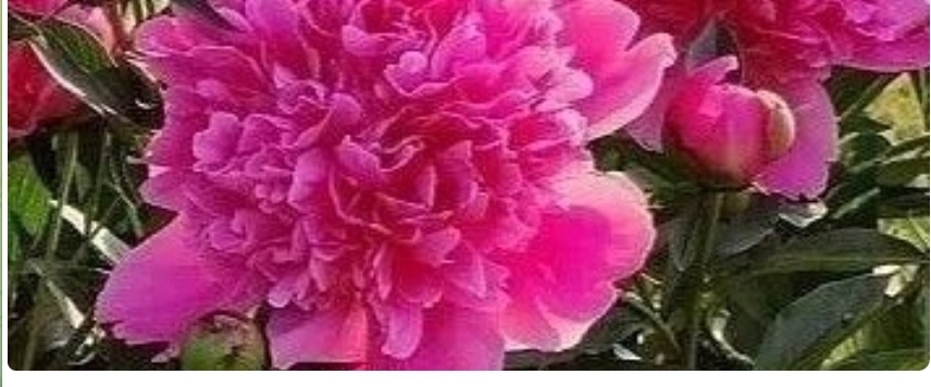 создавая себя banner