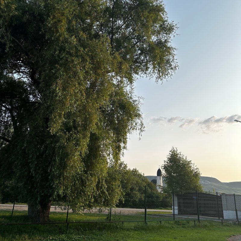 10000 шагов с Марбисано logo