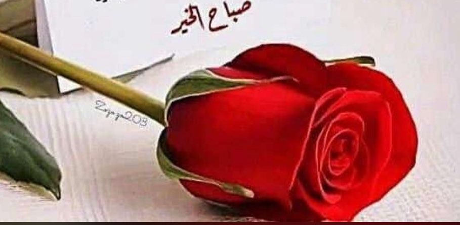 الرابح الأكبر 💪🏻👏🏻 banner