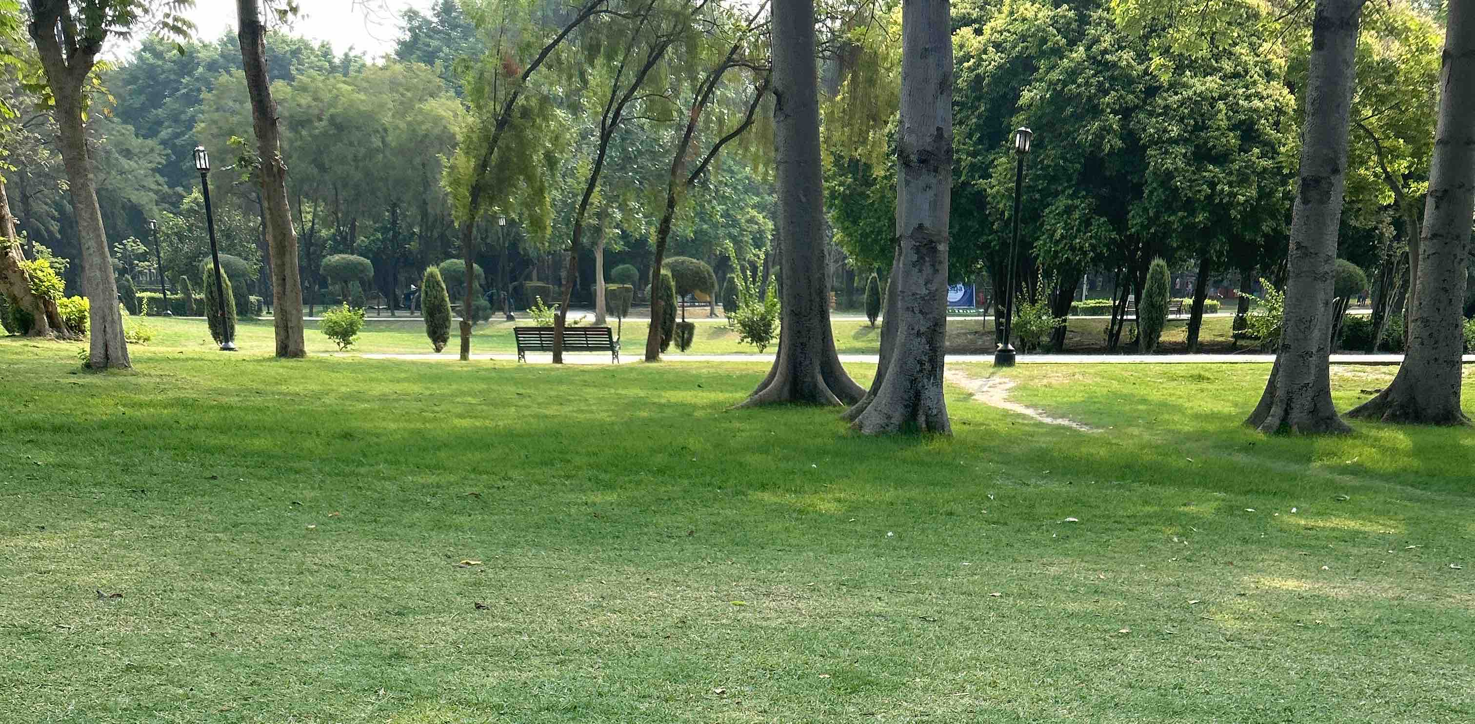 Daily walk  10000 steps banner