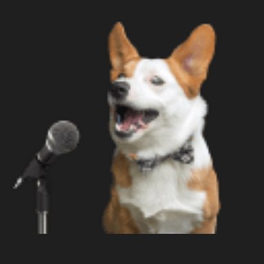 QSO-Optum-WellMed-Walkers logo