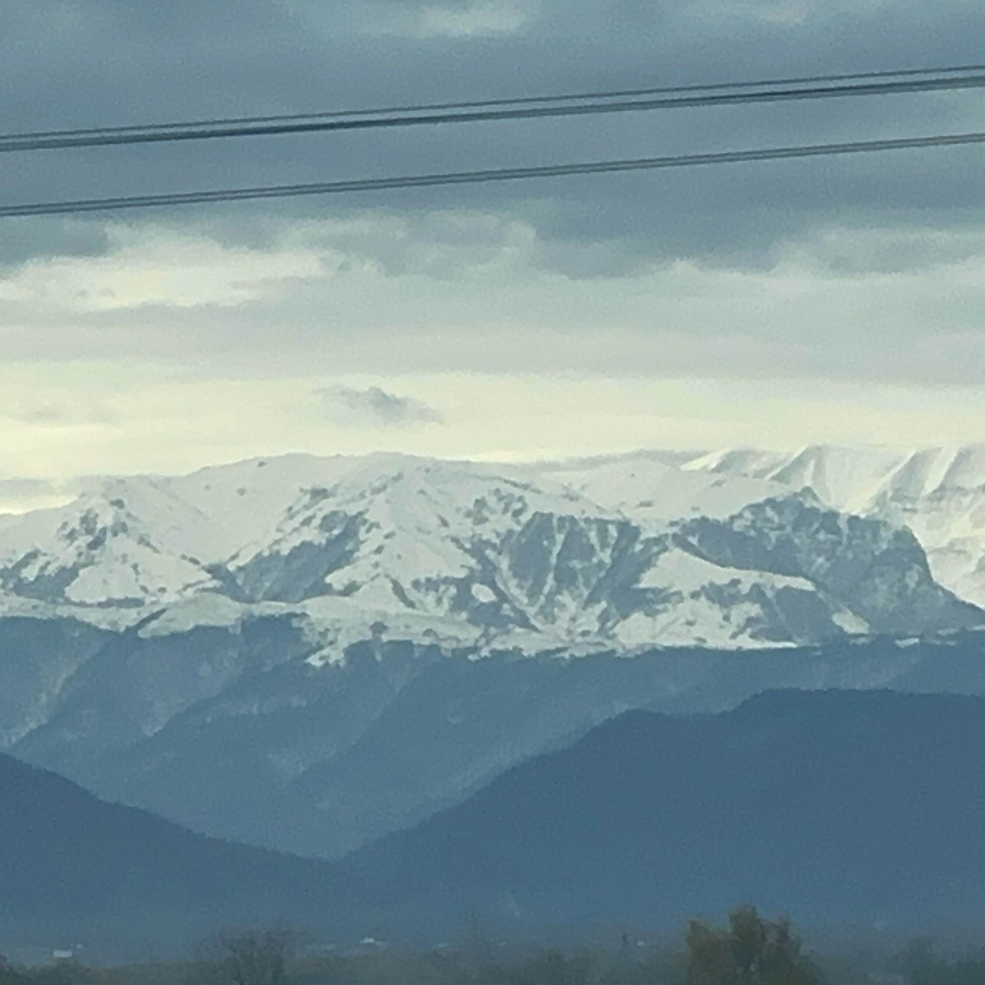 летний марафон logo